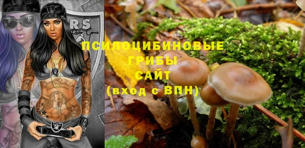 стафф Арсеньев