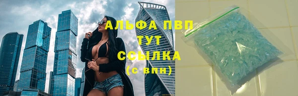 стафф Арсеньев