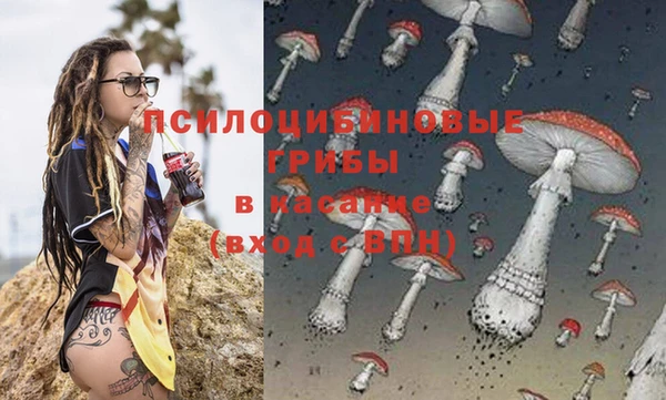 ПСИЛОЦИБИНОВЫЕ ГРИБЫ Армянск