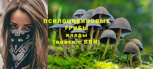 стафф Арсеньев