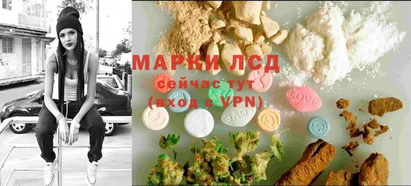 стафф Арсеньев