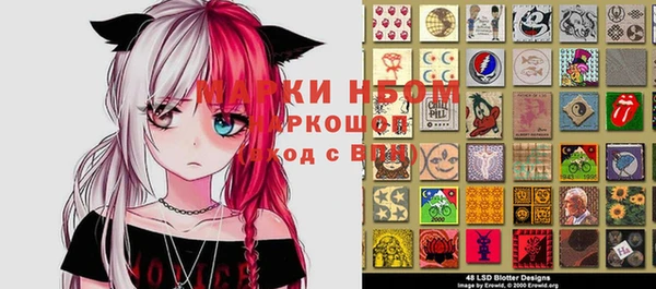стафф Арсеньев