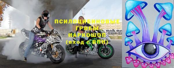 стафф Арсеньев