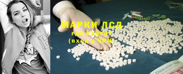 стафф Арсеньев
