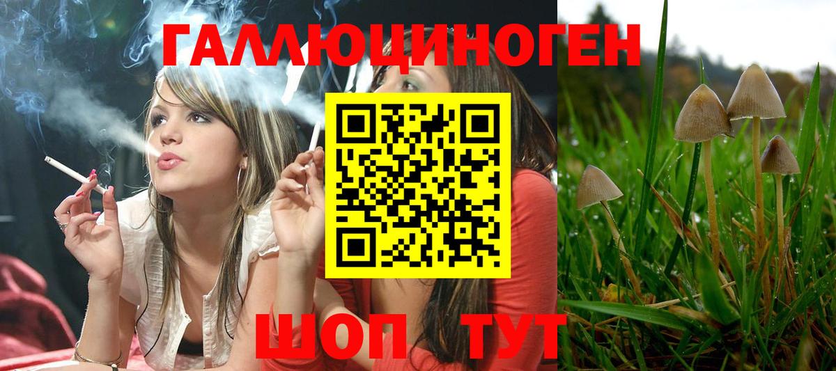 Галлюциногенные грибы мицелий Саки